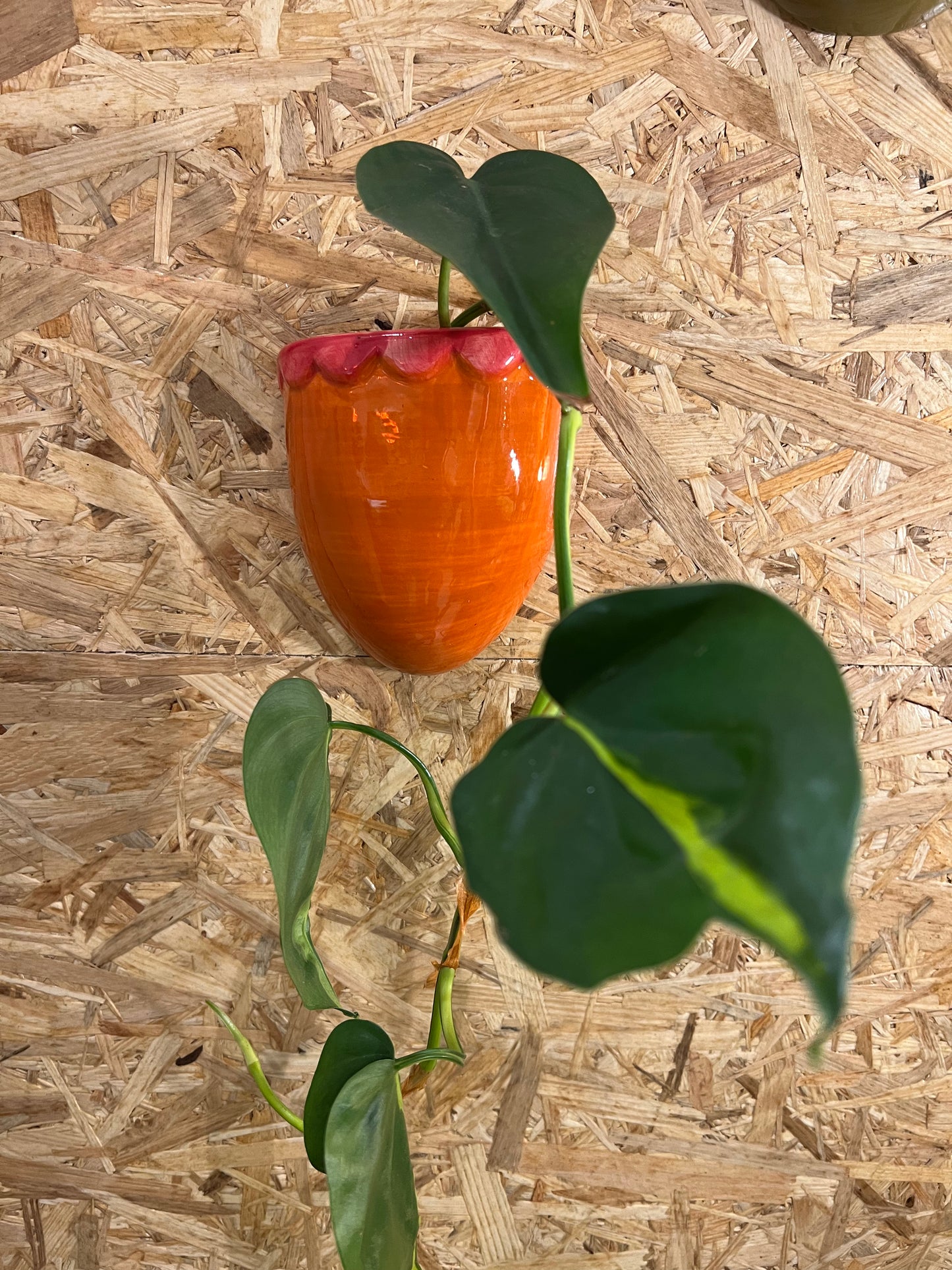 Muurvaasje Maya oranje