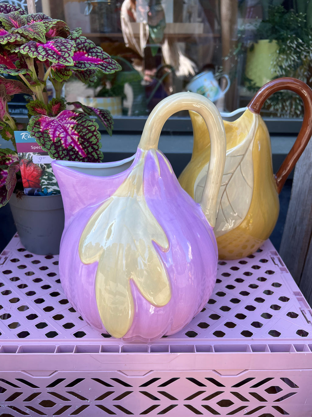 Vaas of waterkan Vijg