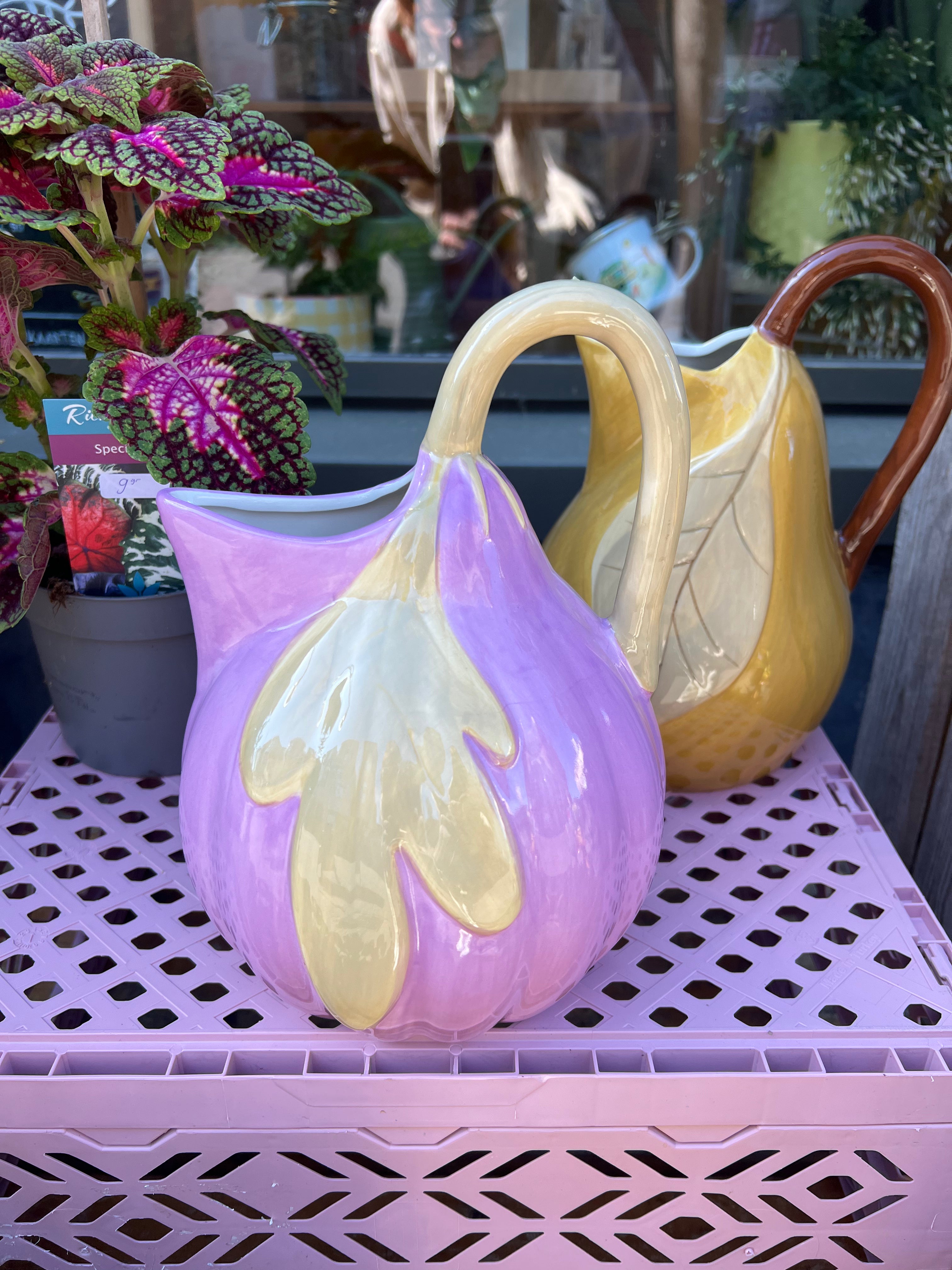 Vaas of waterkan Vijg