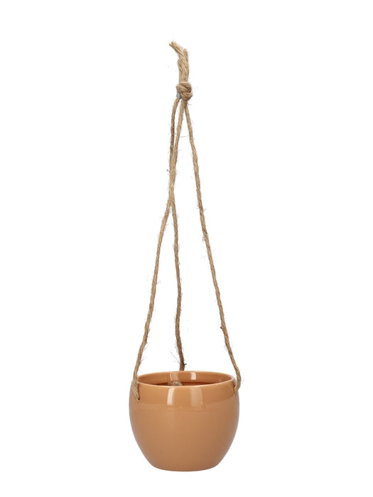 Hangpot zalm