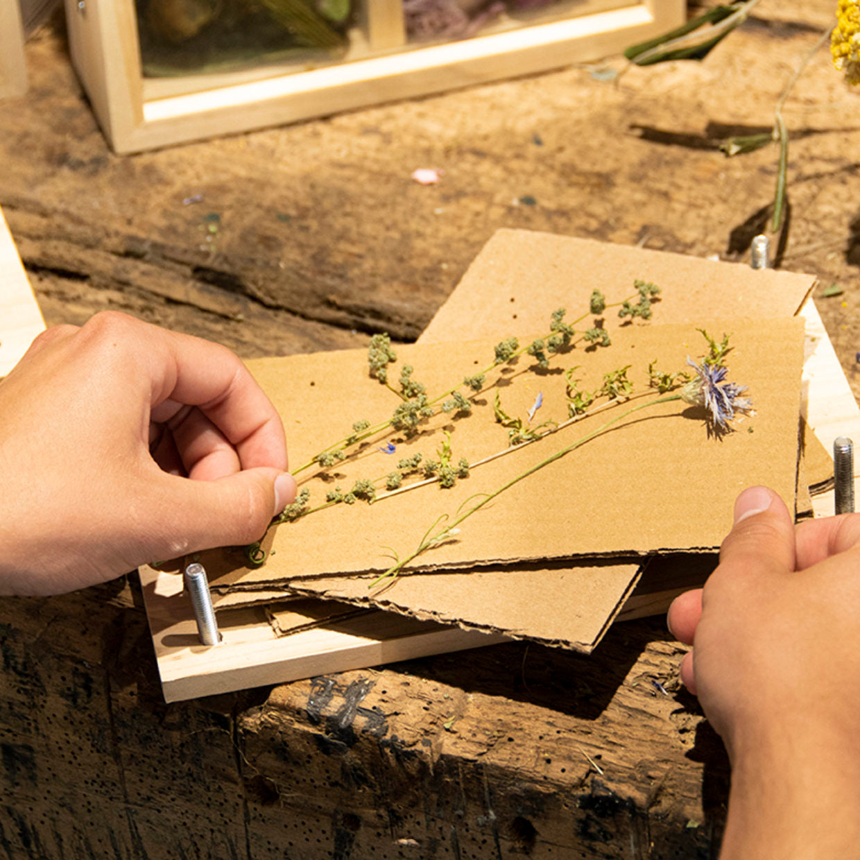 Bloemen- en kruidenpers