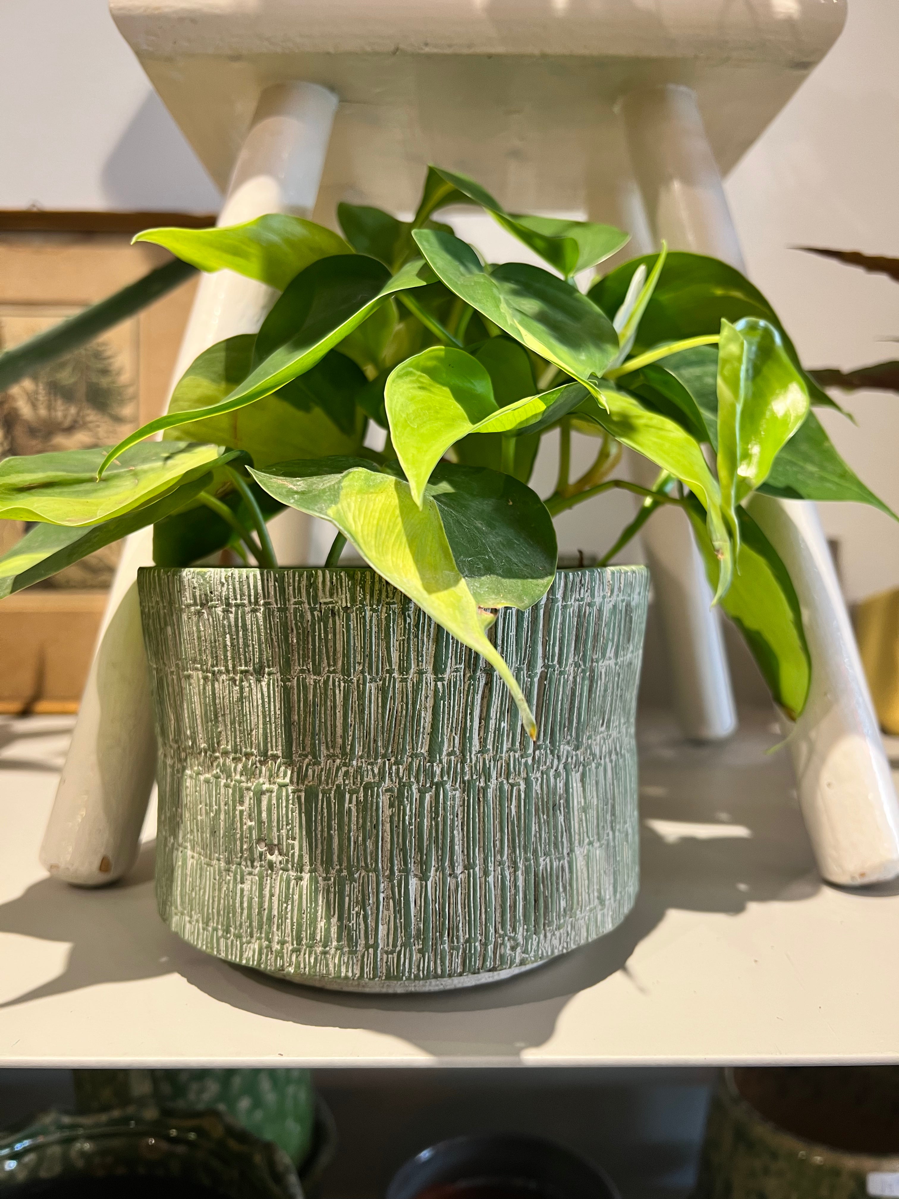 Bloempot groen met structuur