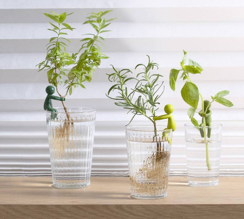 Leafriend Peleg Design