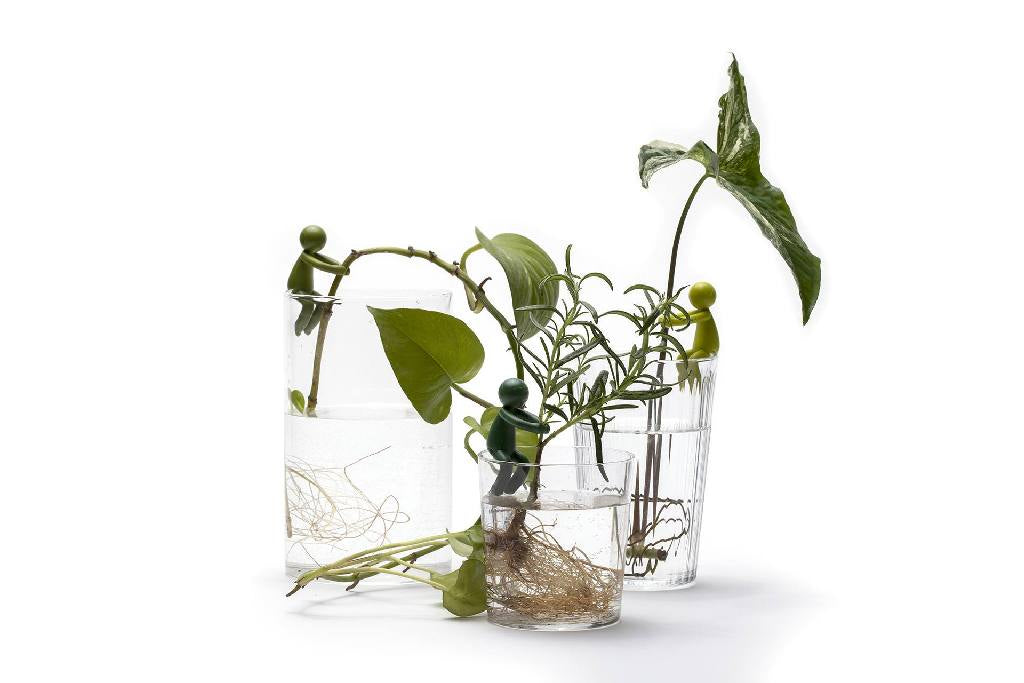 Leafriend Peleg Design