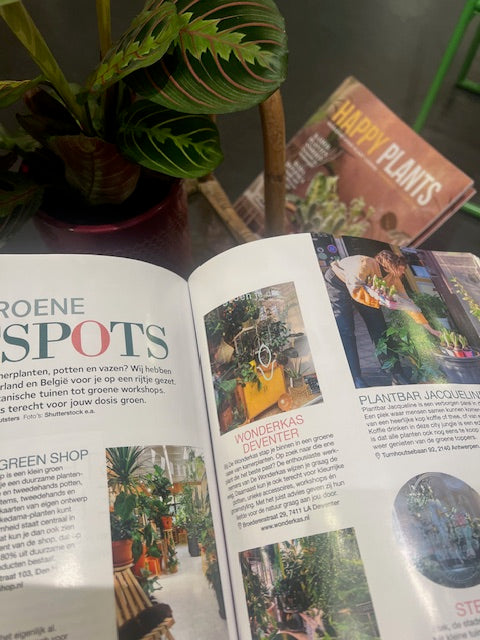 Magazine Happy Plants 2025
