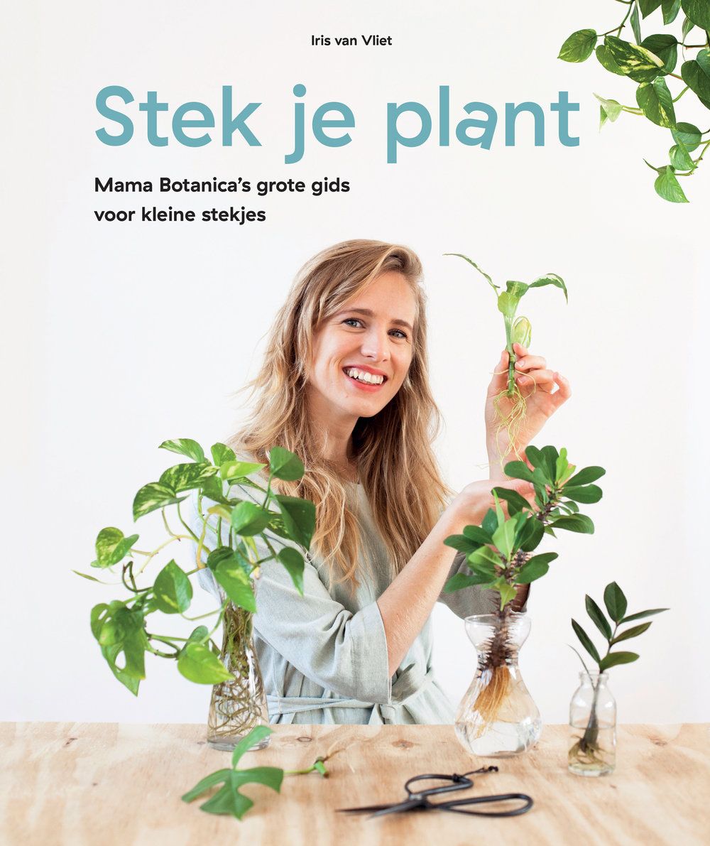 Boek Stek je plant van Mama Botanica