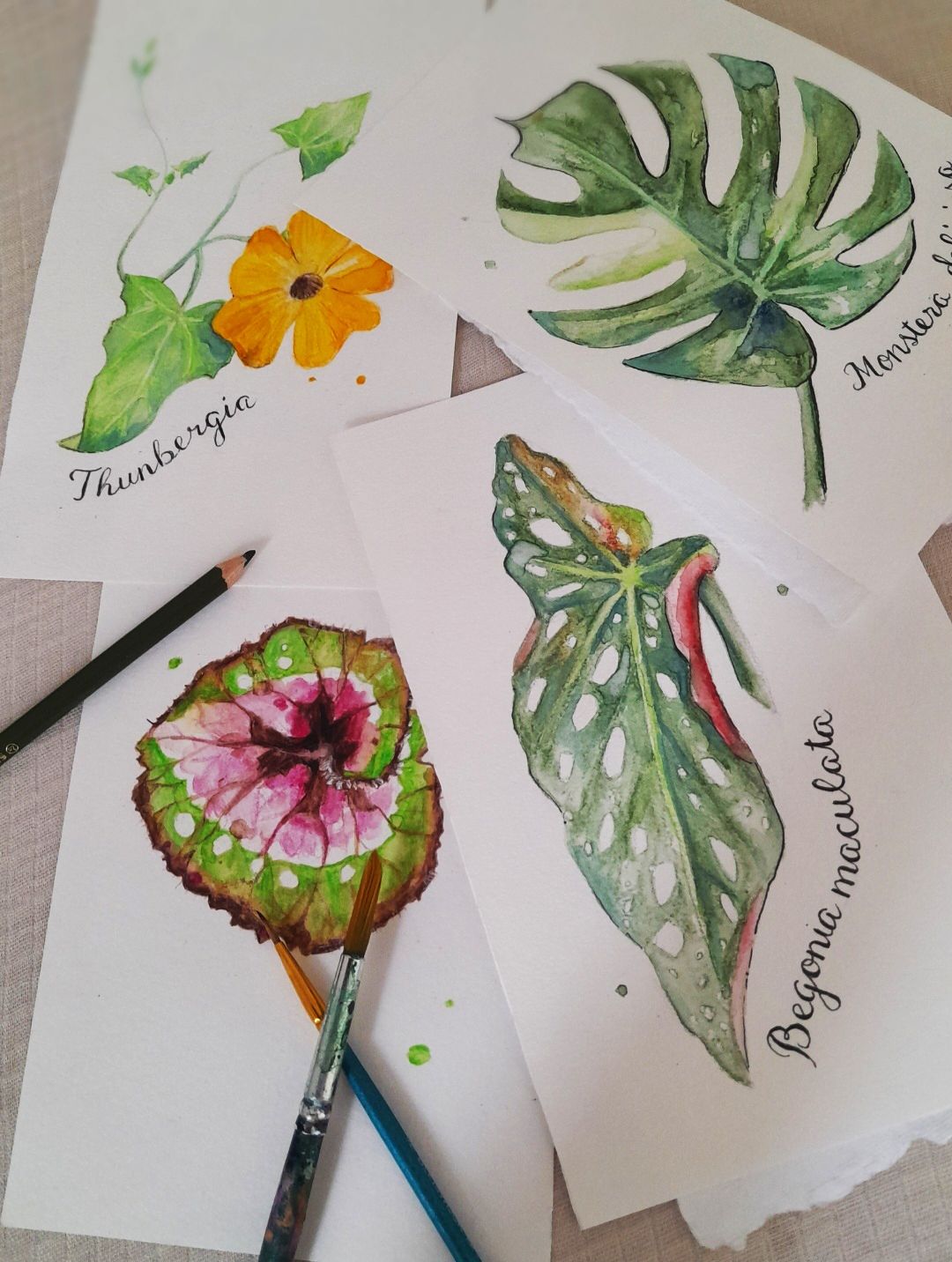 Workshop Botanisch tekenen - nieuwe datum volgt