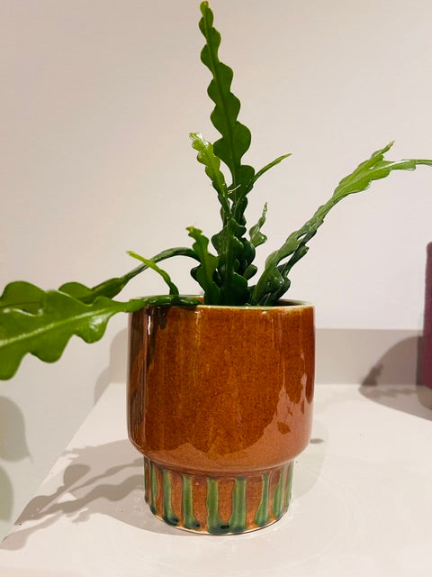 Bloempot cognac met groene accenten