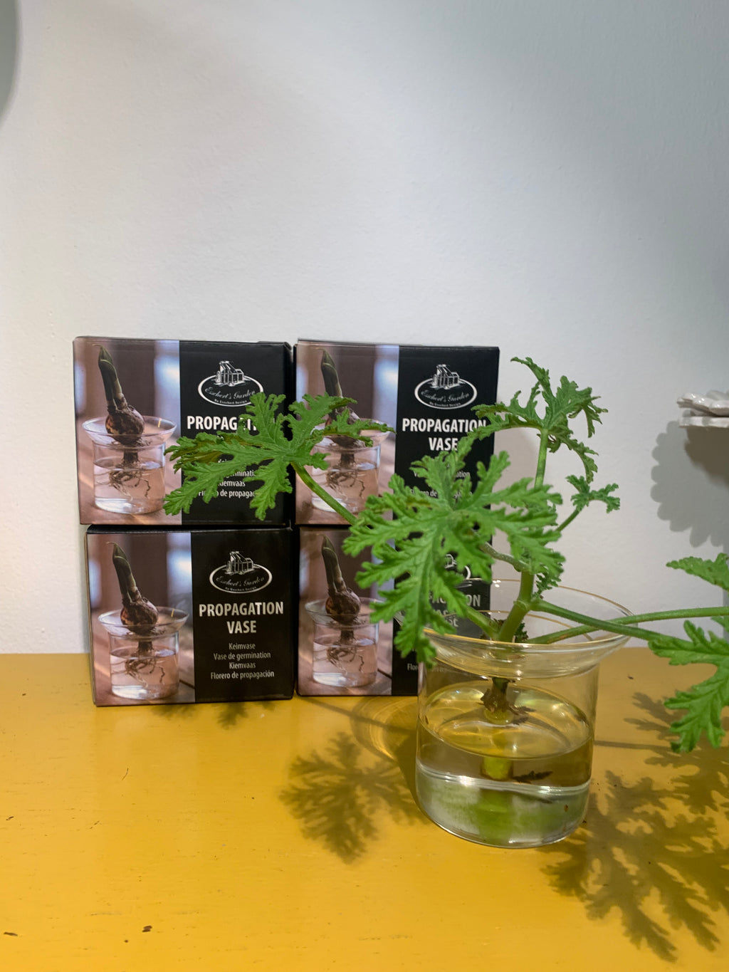 Kiemvaasje Esschert Design, 1 gaatje