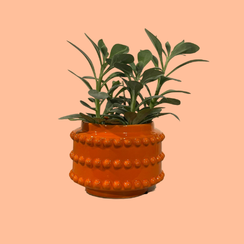 Bloempot Boaz oranje