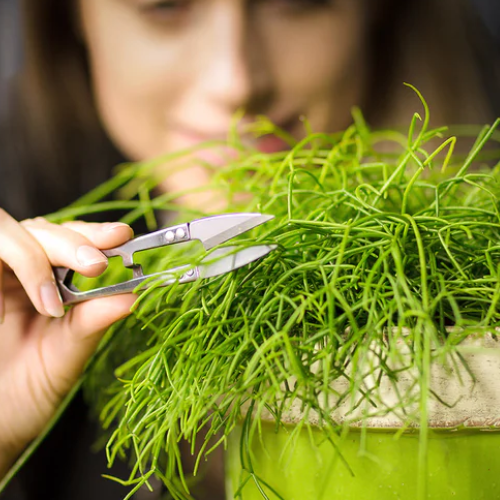 Stek schaartje van rvs