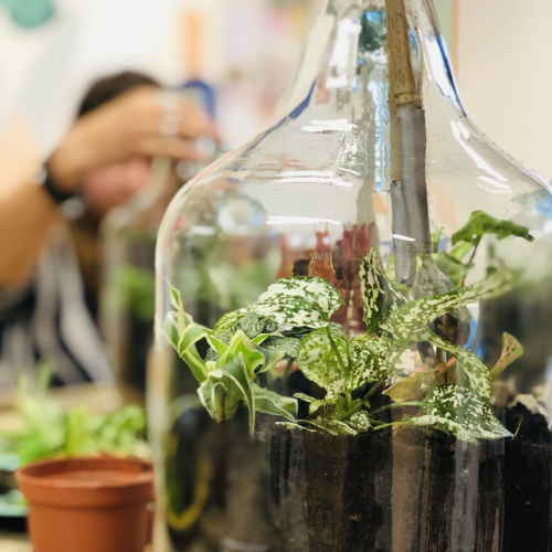 Workshop Flessentuin - Di 3 juni